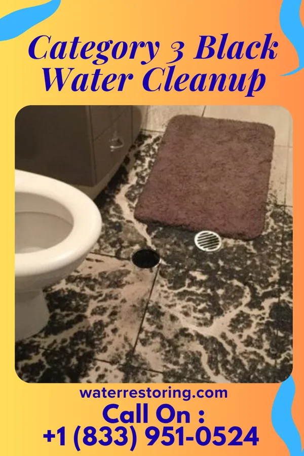 Category 3 Black Water Cleanup in Luther, OK