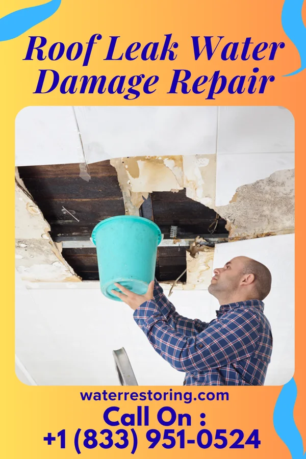 Roof Leak Water Damage Repair in Luther, OK